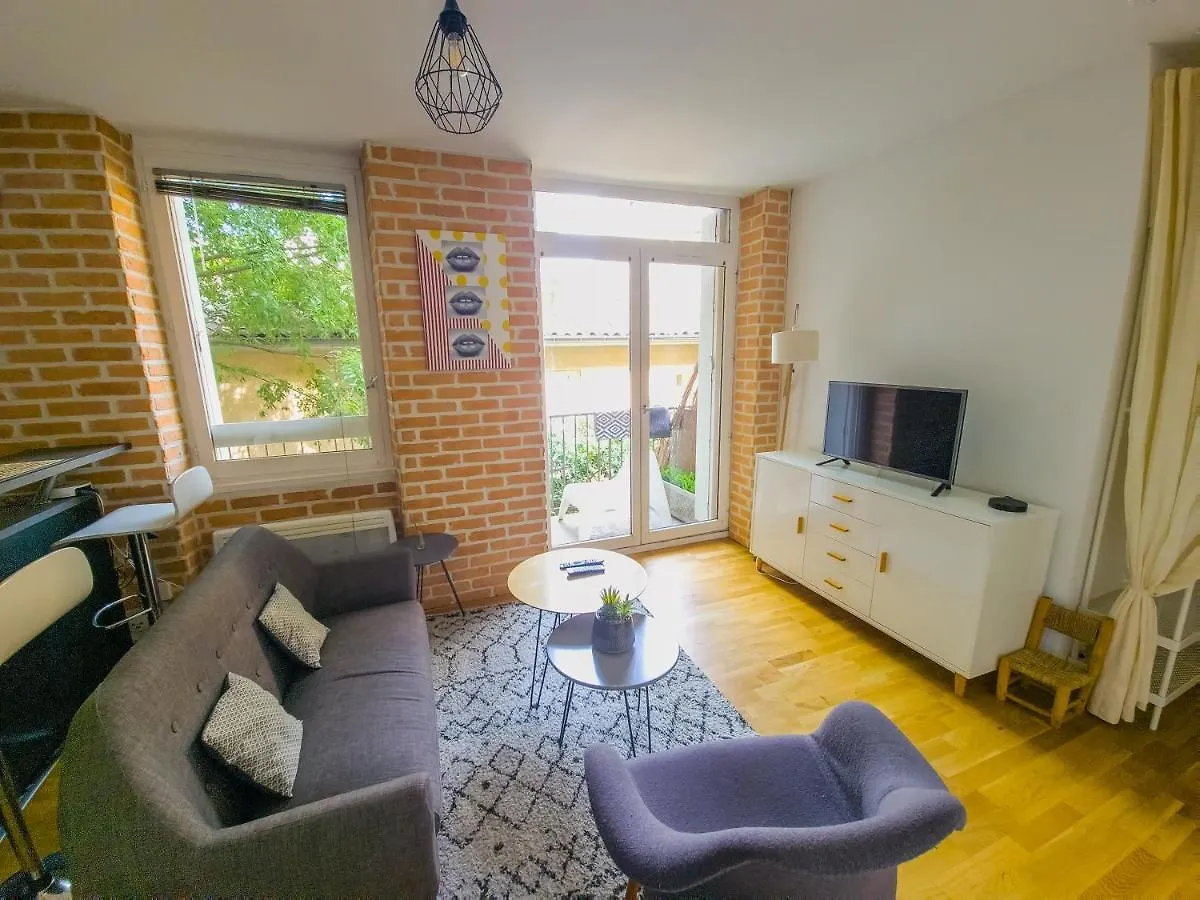 Apartmán Grand T2 En Hypercentre - Terrasse - Wifi - Tv Toulouse Francie